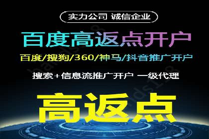 行业领先企业的SEM竞价推广策略揭秘